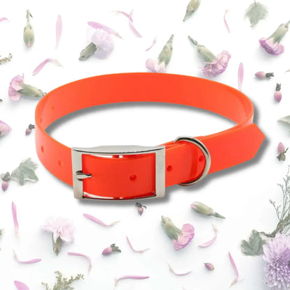 Un collier pour chien de couleur orange fluo en PVC.
