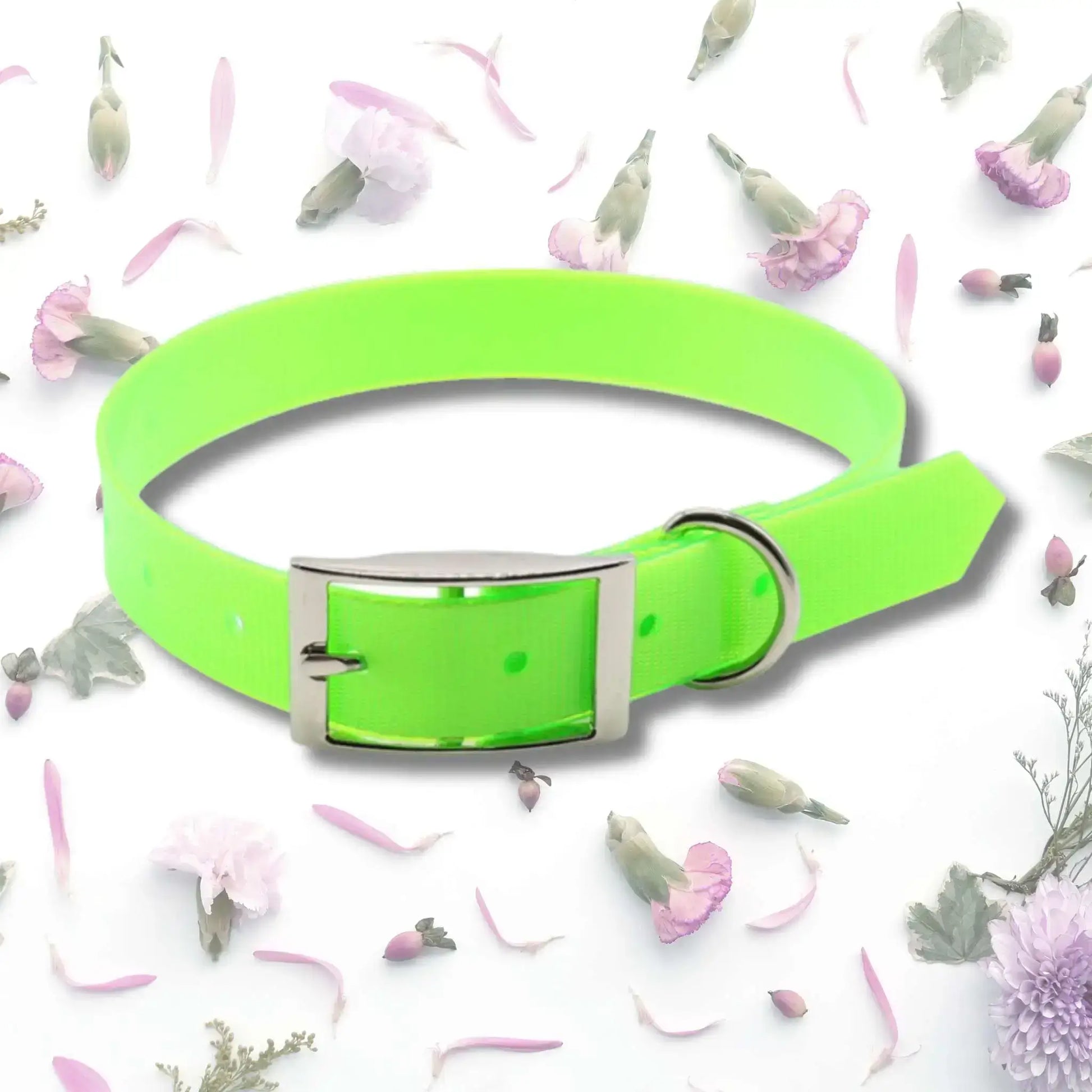 Un collier pour chien de couleur vert fluo imperméable.