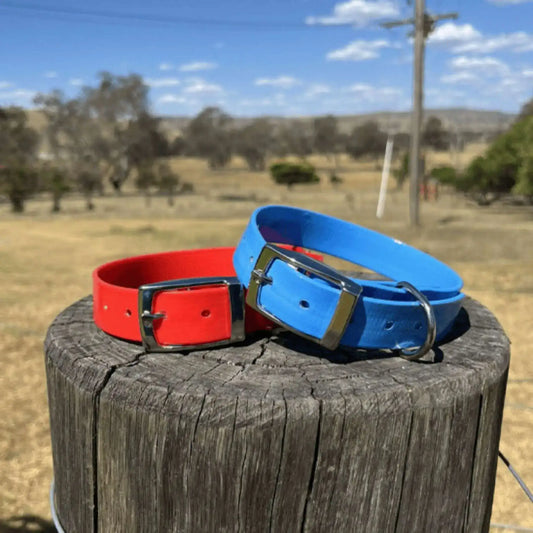 Collier pour chien en PVC, un rouge et un bleu sur une bûche