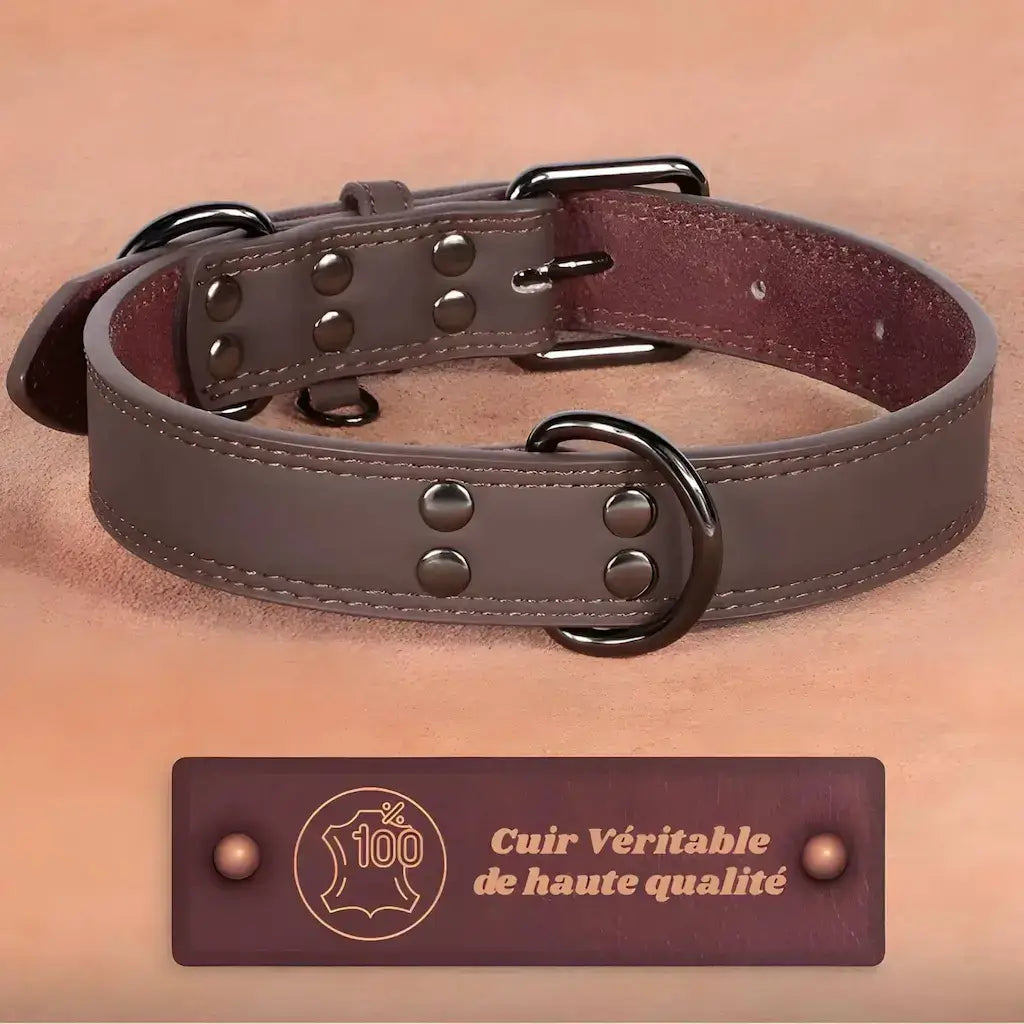 Un collier pour chien de couleur marron en cuir.