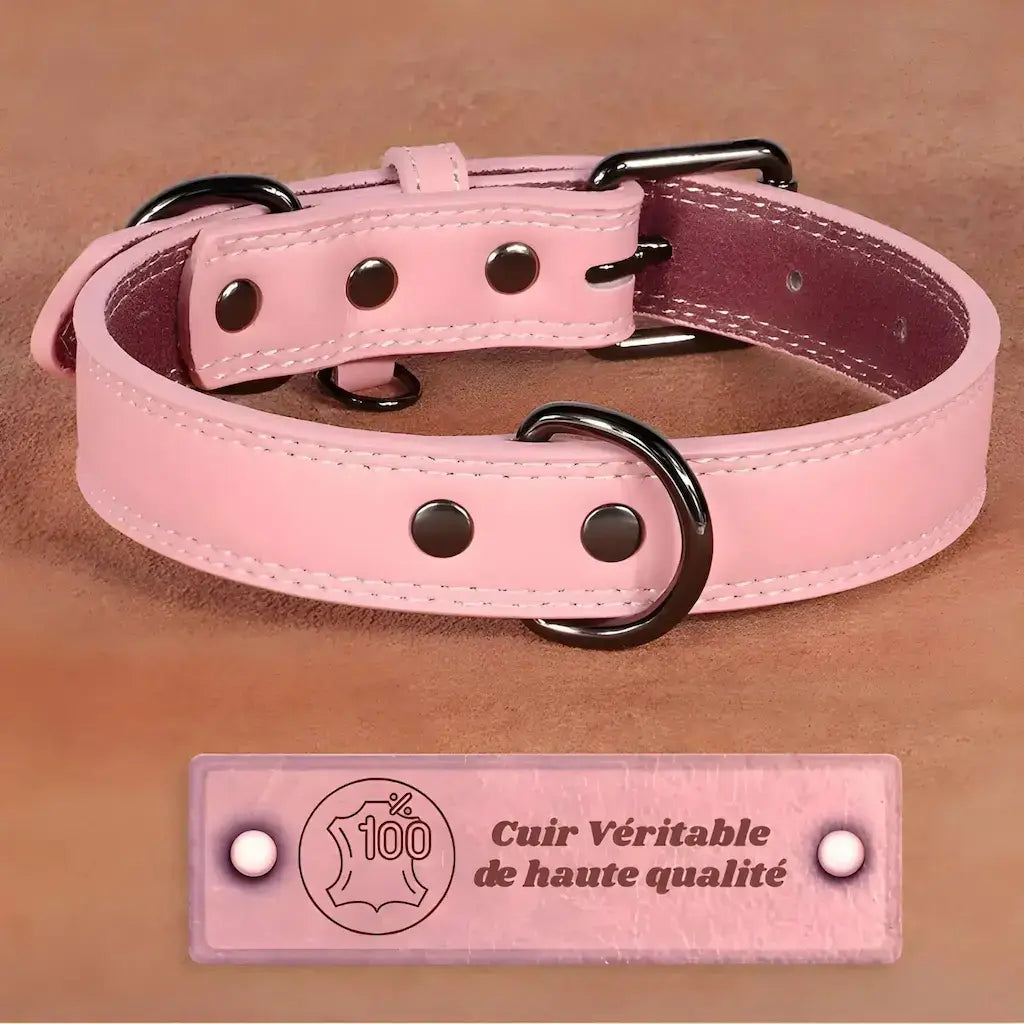 Un collier pour chien de couleur rose en cuir véritable.