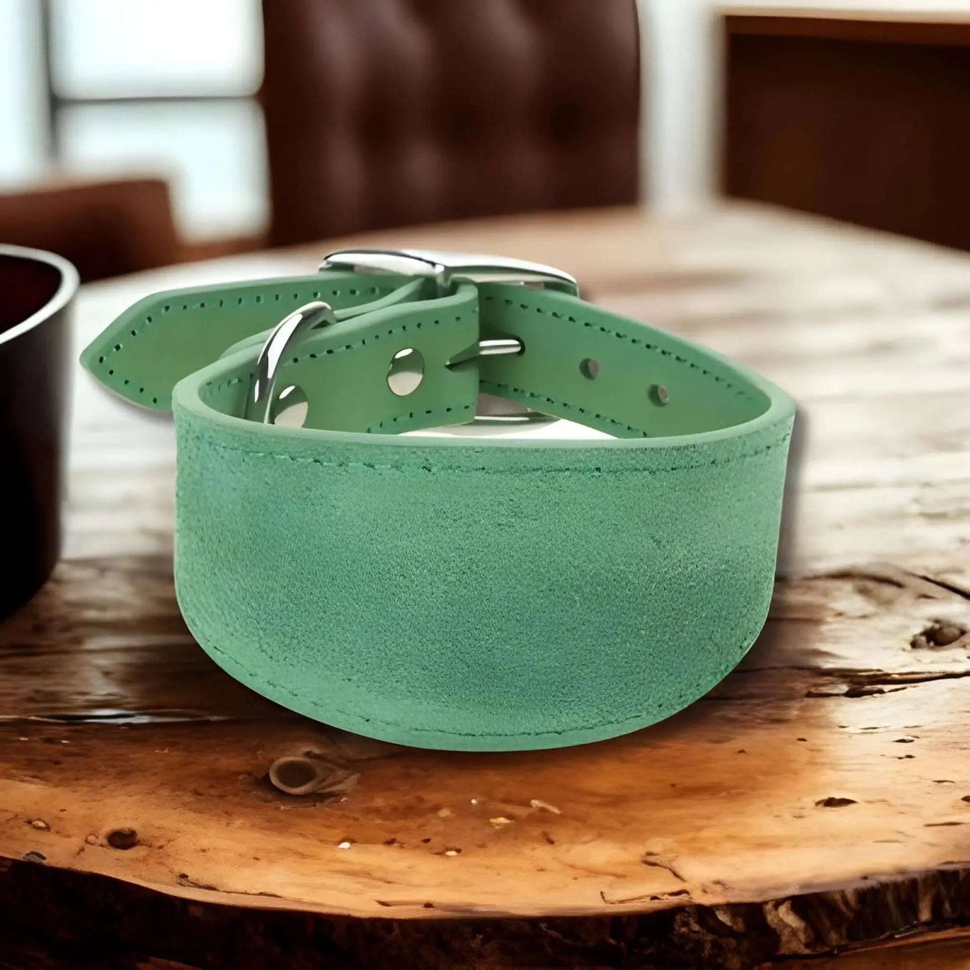 Un collier chien CouDog de couleur vert sur une table de bois.