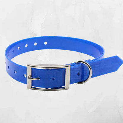 collier chien couleur bleu