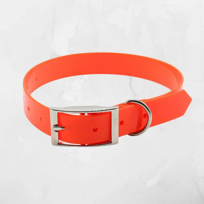 collier chien couleur orange flo