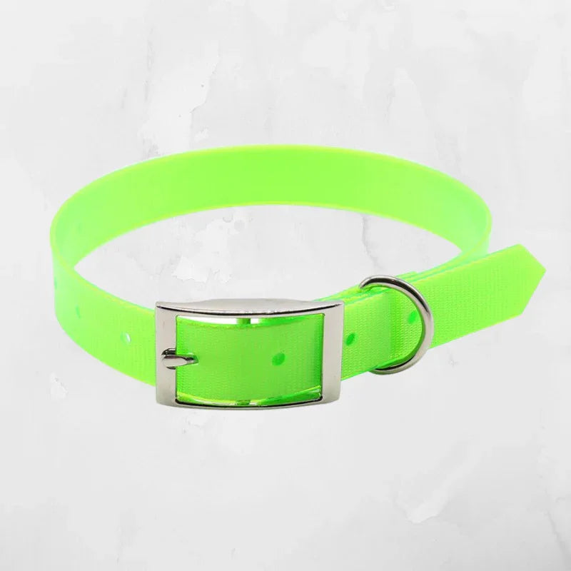 collier chien couleur vert flo