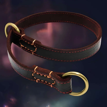 Un collier chien cuir véritable à deux anneaux.