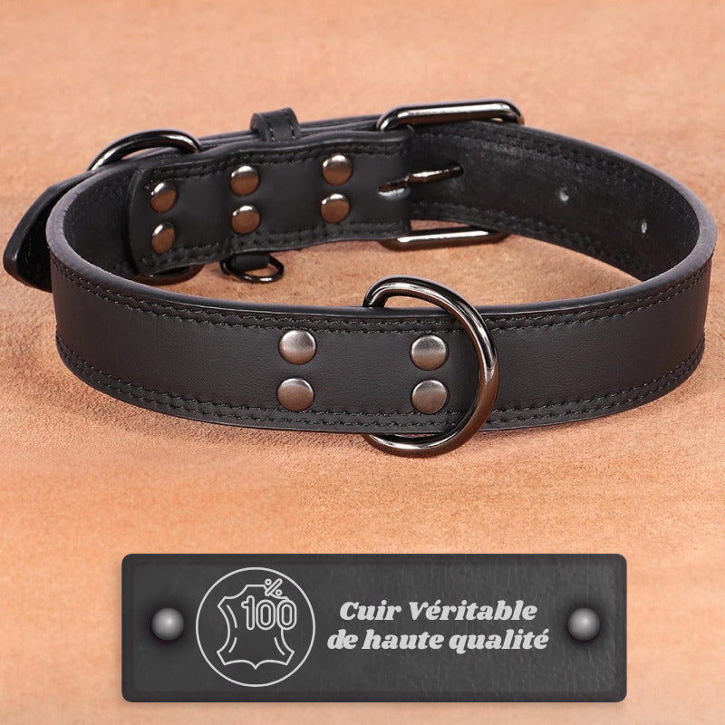 collier chien cuir noir