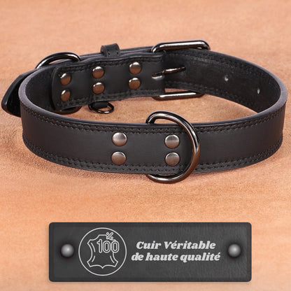 collier chien cuir noir