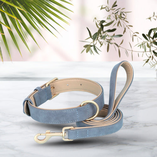 collier chien cuir suede bleu avec laisse
