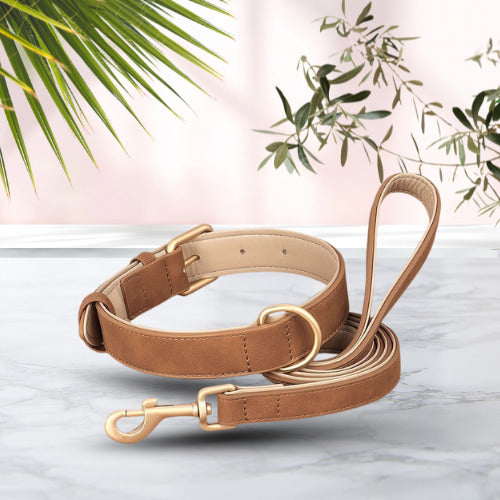 collier chien cuir suede brun avec laisse