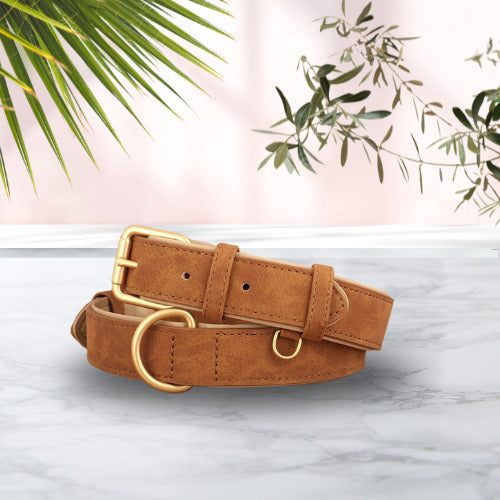 collier chien cuir suede brun