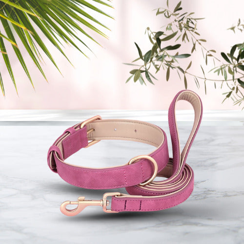 collier chien cuir suede rose avec laisse