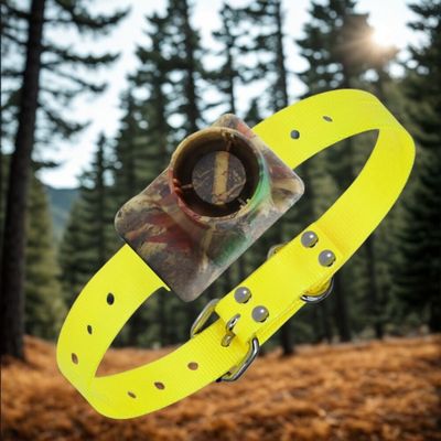 collier chien de dressage couleur camouflage collier jaune