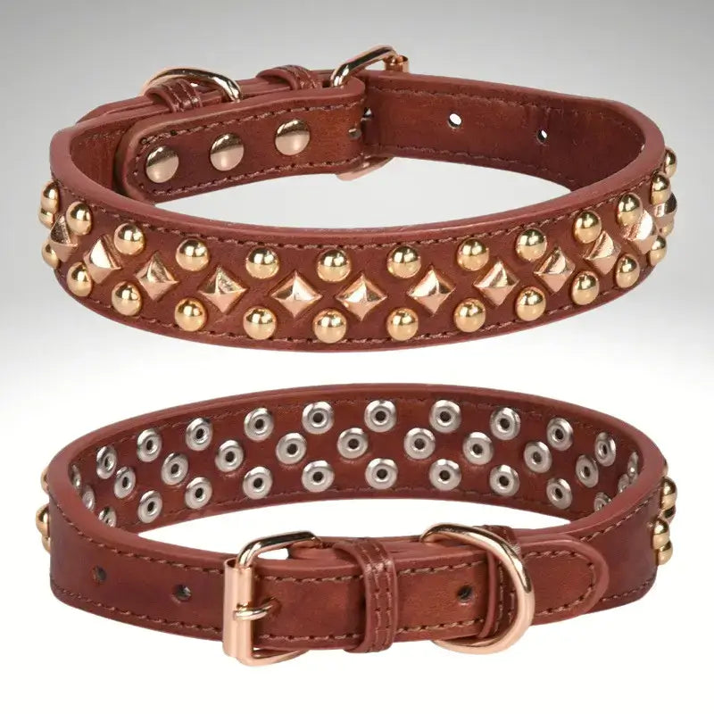 Un collier pour chien en cuir marron.