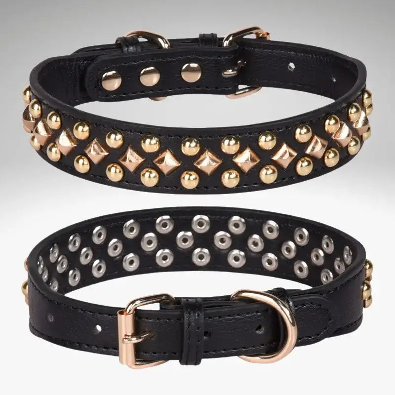 Un collier pour chien en cuir véritable noir avec rivet.