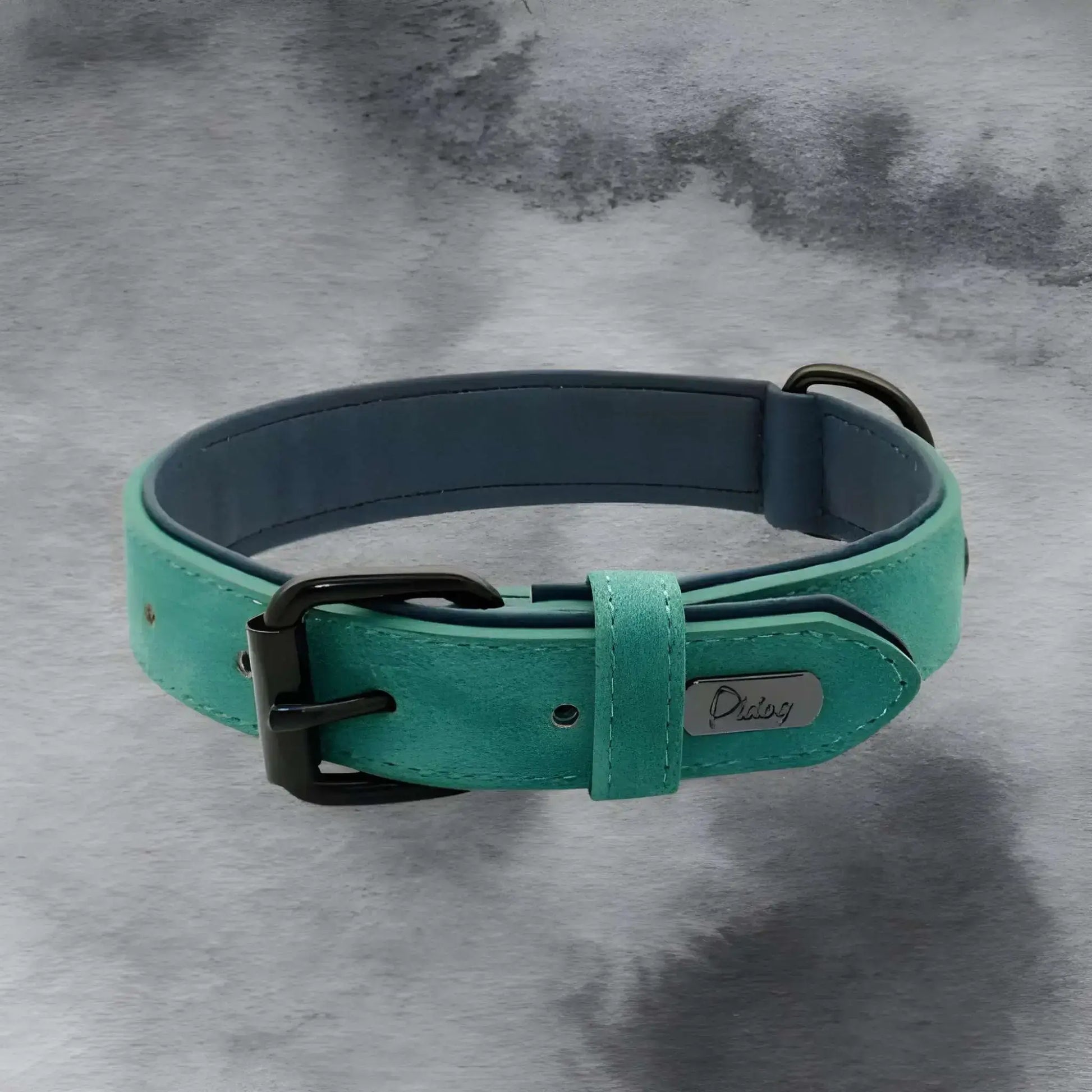 Un collier chien Fidlo en cuir PU vert.