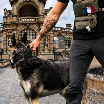 collier chien homme arme france berger allemand en france