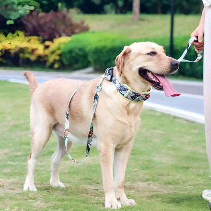 Un labrador debout sur la pelouse portant le collier pour chien couleur café avec la laisse assortie.