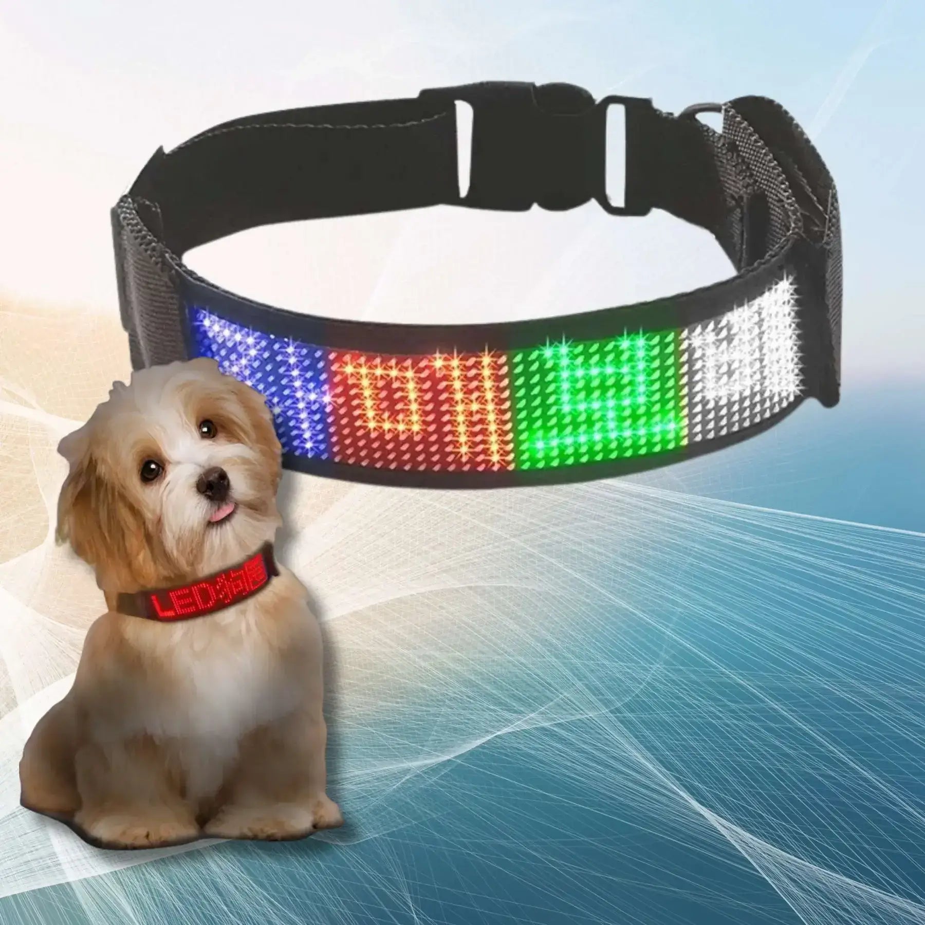 Un collier chien lumineux avec écran multicolore.