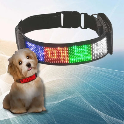 Un collier chien lumineux avec écran multicolore.