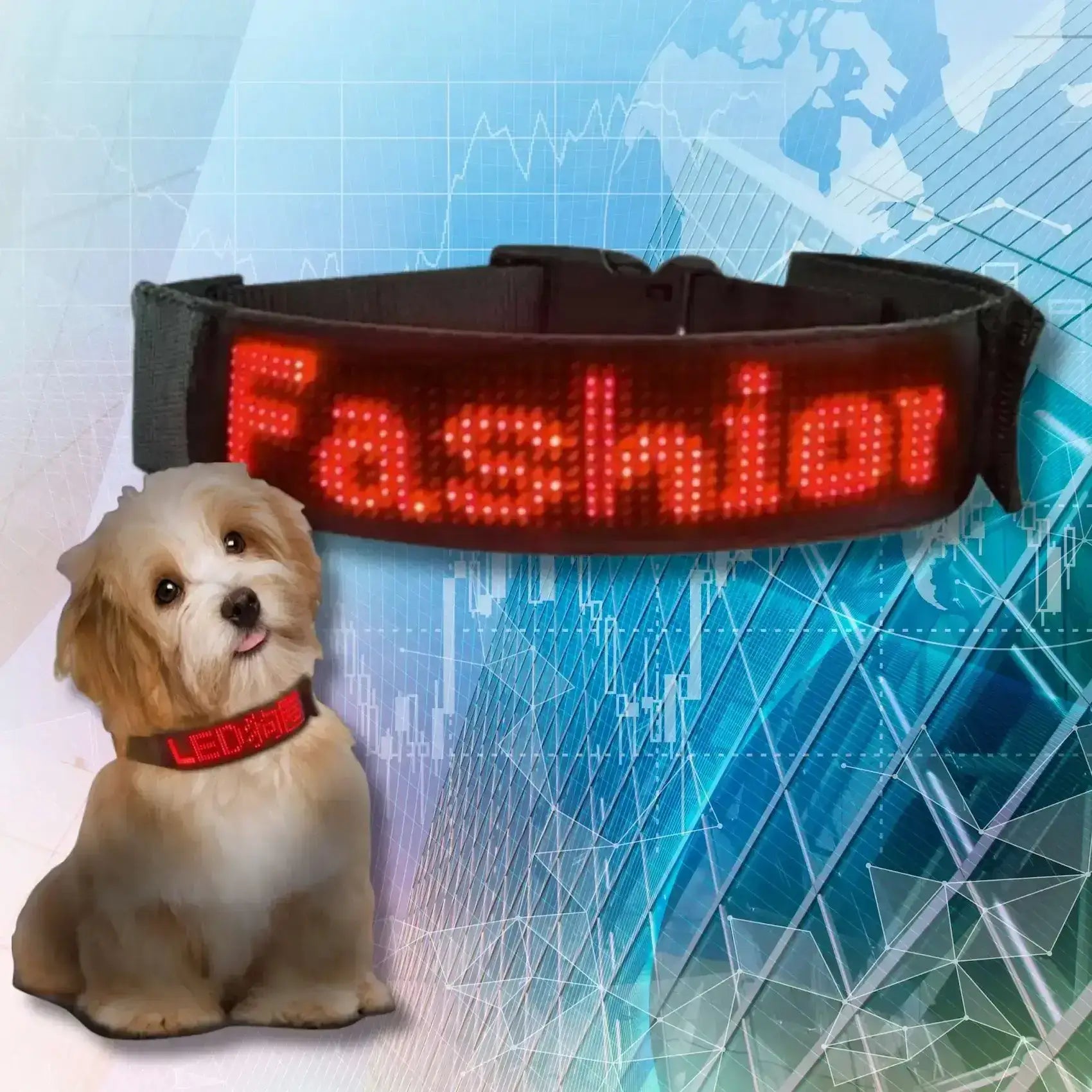 Un collier chien lumineux avec écran rouge.