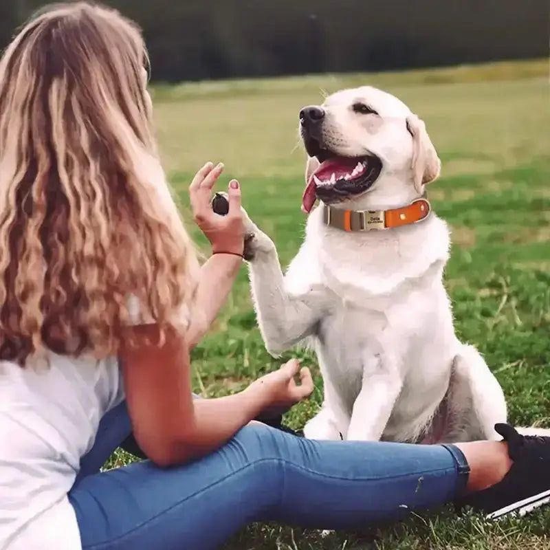 Une femme avec son labrador qui porte le collier pour chien personnalise marron.