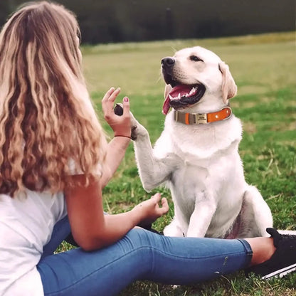 Une femme assise par terre avec un labrador blond qui lui donne la patte avec son collier.