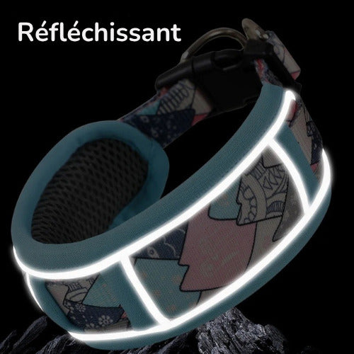 collier chien reflechissant noirceur