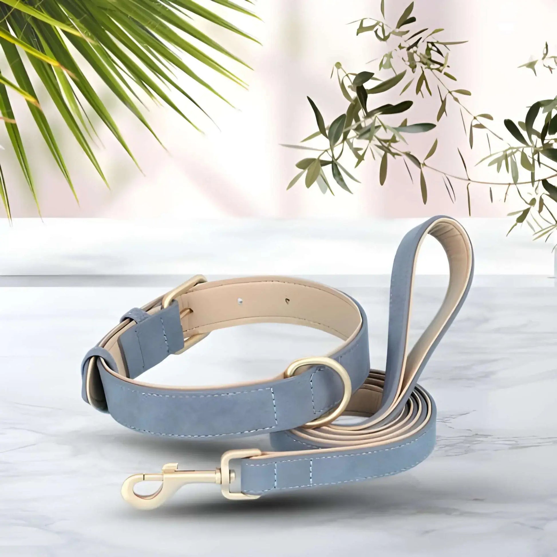 Un collier pour chien bleu avec laisse assortie.