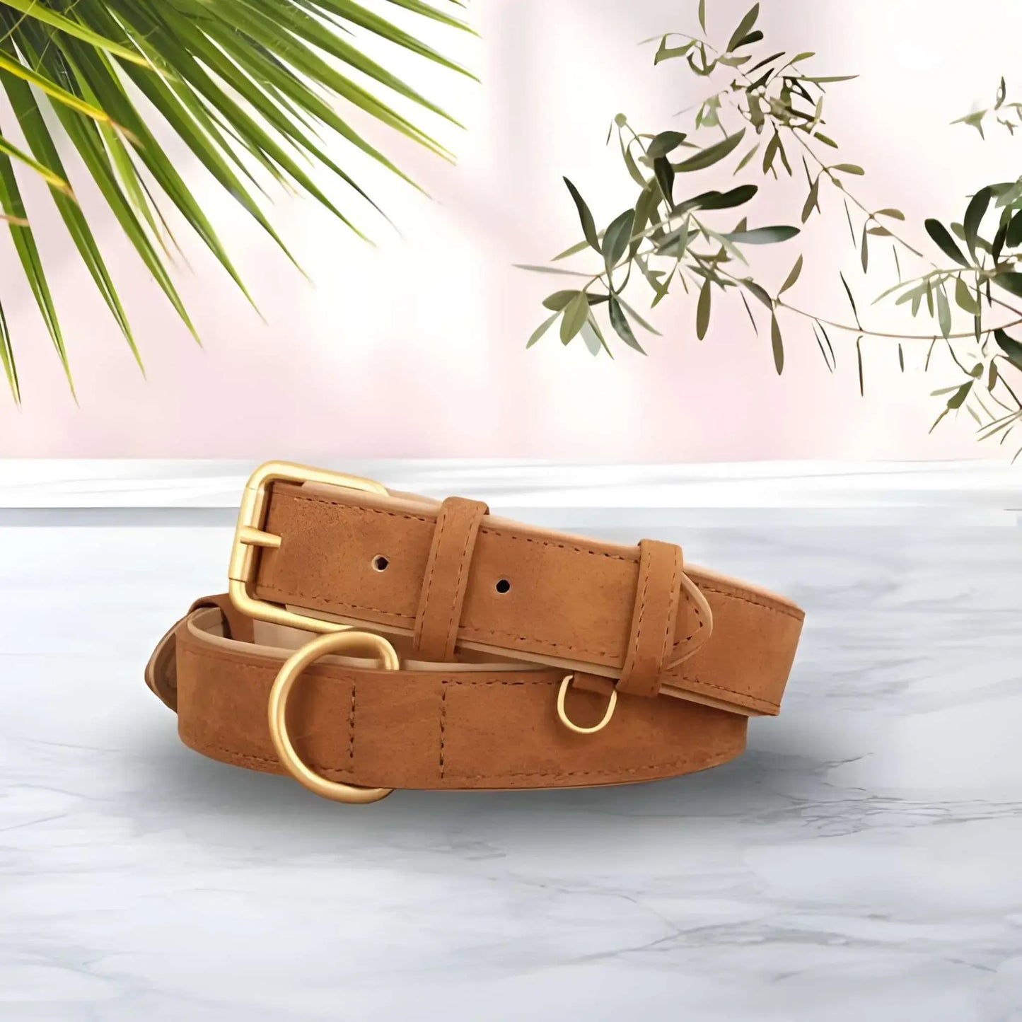 Collier pour chien de couleur marron.