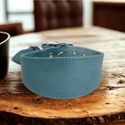 collier chien table bois collier bleu