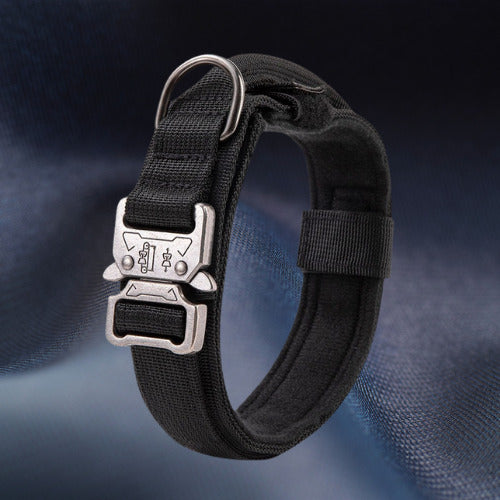 collier chien tactique noir