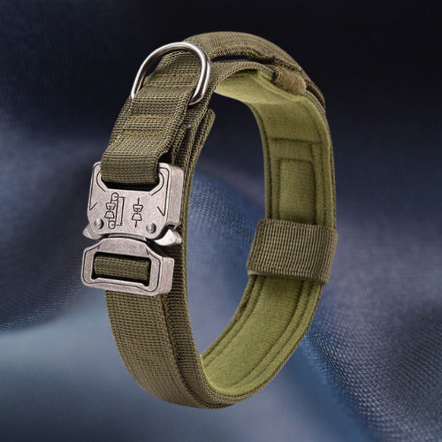 collier-chien tactique vert arme