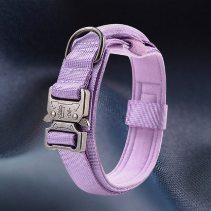 collier chien tactique violet