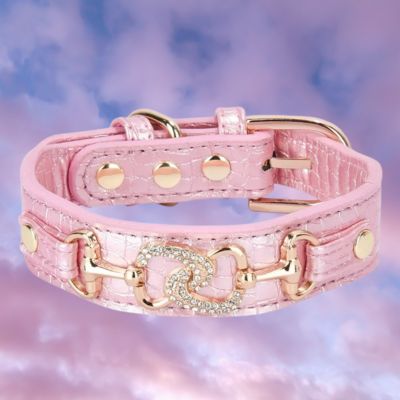 collier chiot couleur rose