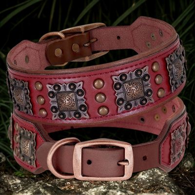 collier cuir pour chien couleur rouge cuir veritable