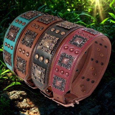 collier cuir pour chien couleur vert brun rouge brun fonce