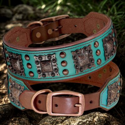 collier cuir pour chien couleur vert cuir veritable