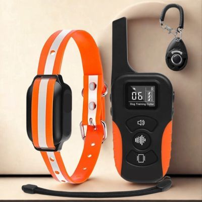 collier de dressage chien collier couleur orange