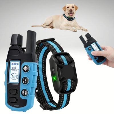 collier de dressage pour chien couleur bleu telecommande