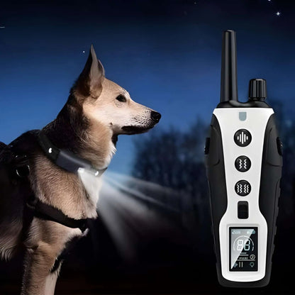 Un chien portant un collier de dressage pour chien la nuit, démontrant la lumière et une télécommande.