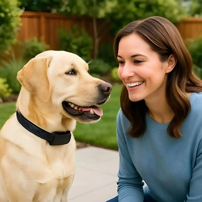 Une femme souriante regarde son labrador qui porte le collier de dressage pour chien.