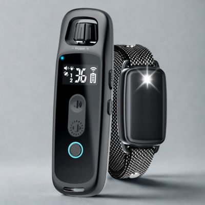 collier de dressage pour chien telecommande resepteur noir