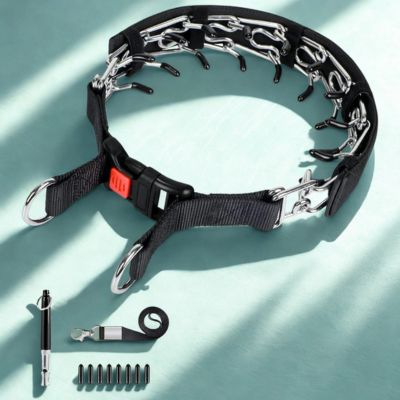 collier dressage chien couleur noir avec sifflet