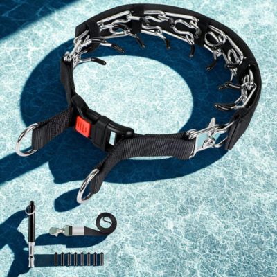 collier dressage chien sifflet et collier