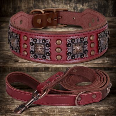 collier en cuir pour chien laisse assorti couleur rouge