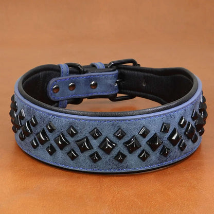 Un collier gros chien Talisman bleu.