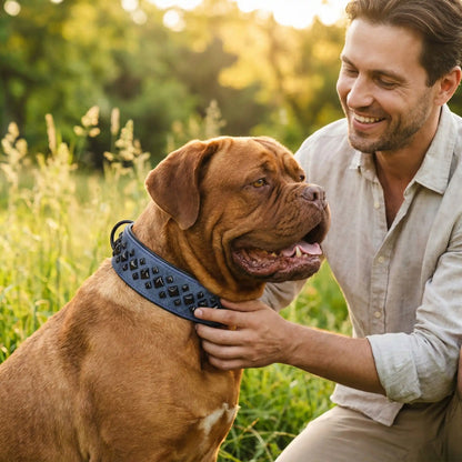 Un dogue de Bordeaux avec son maître et son collier gros chien.