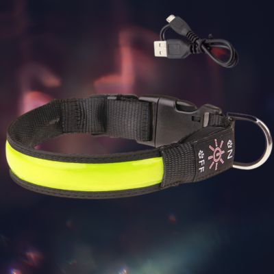 collier lumineux chien couleur jaune