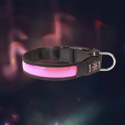 collier lumineux chien couleur rose